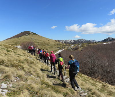 Velebit, Premužićeva Hiking, May 2017